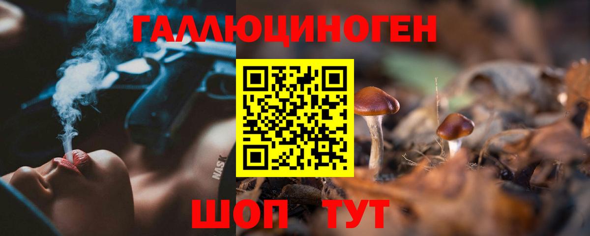 Псилоцибиновые грибы GOLDEN TEACHER Сухой Лог